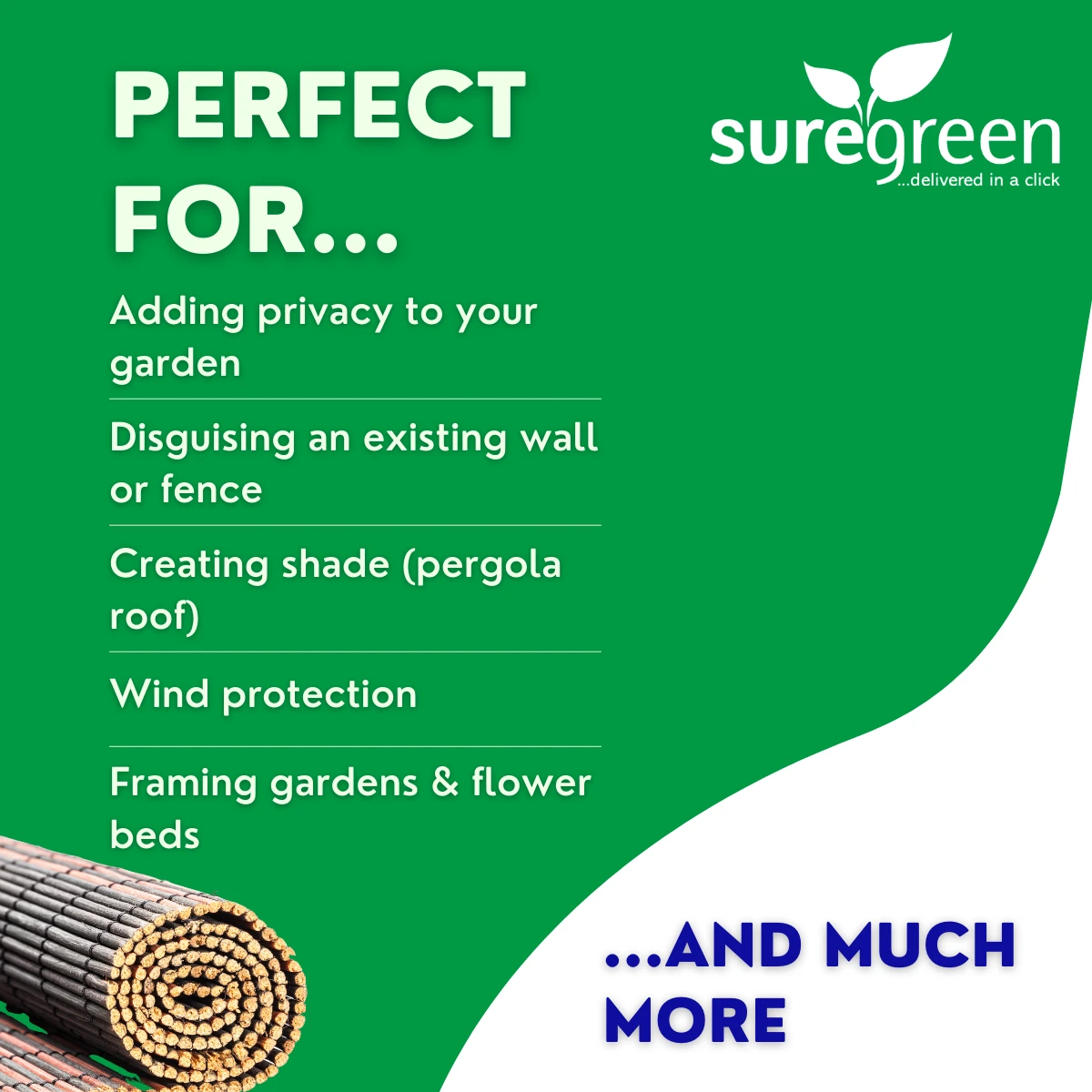 Bamboo Garden Screening - Image 11