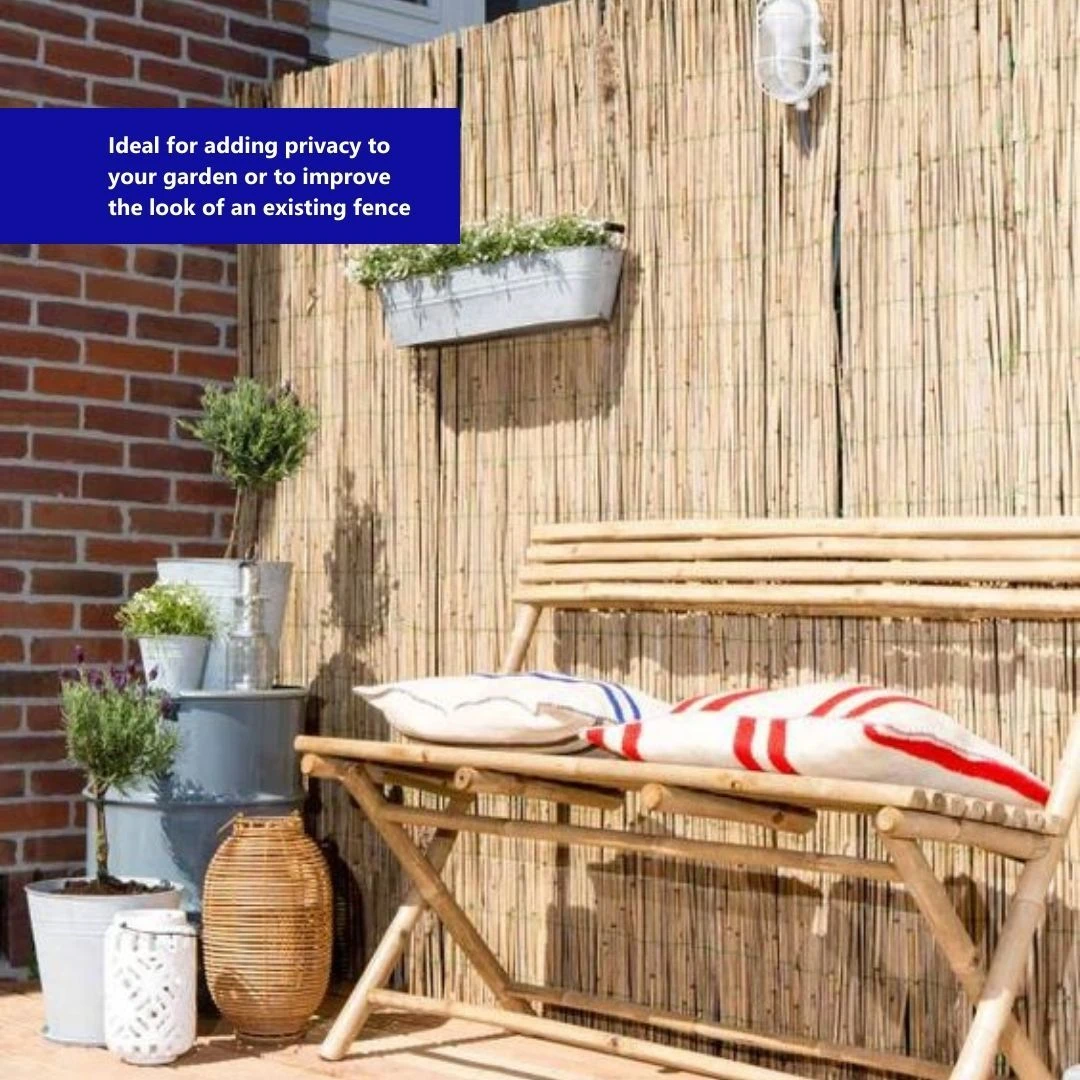 Bamboo Garden Screening - Image 8