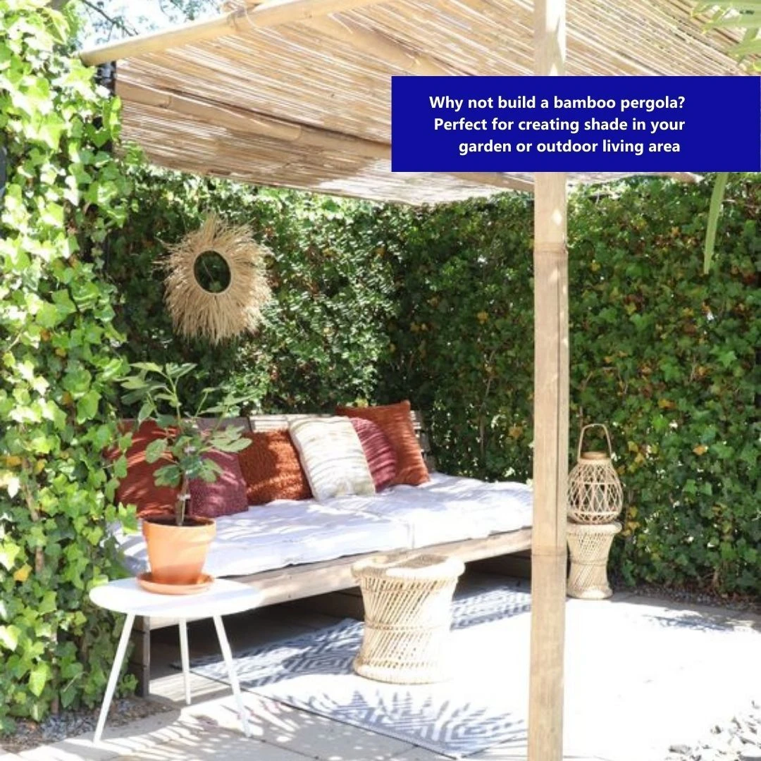 Bamboo Garden Screening - Image 9