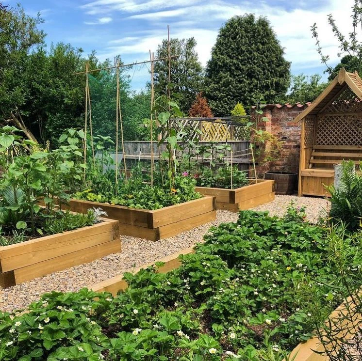 Green Treated Railway Sleeper | 3m X 200mm X 100mm - Image 4