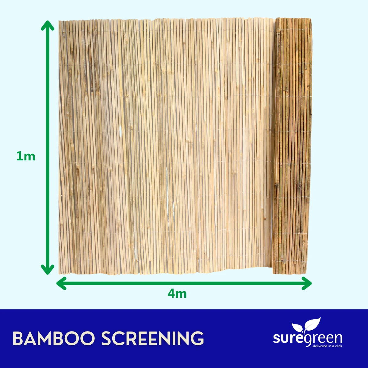 Bamboo Screening | 1m X 4m