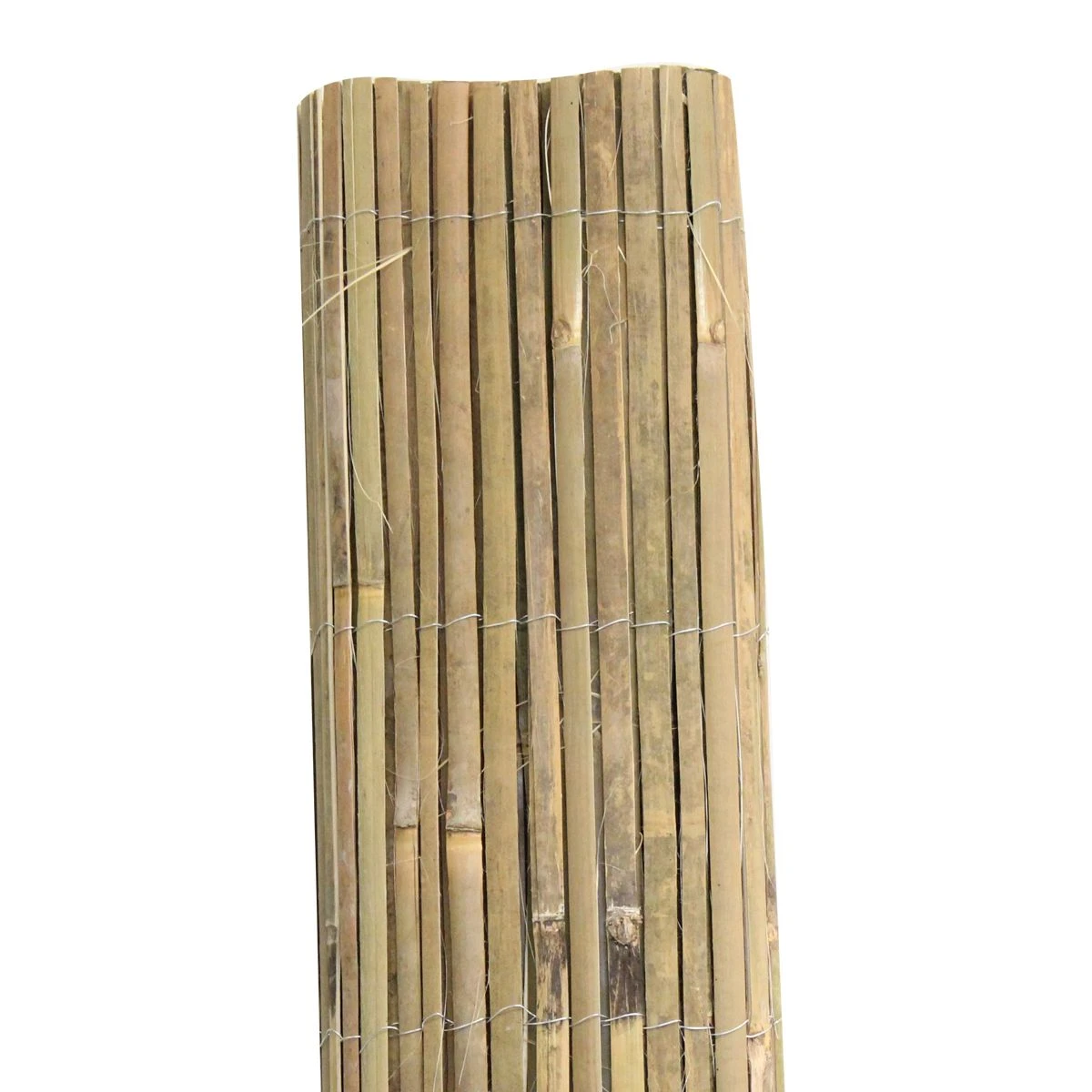 Bamboo Garden Screening - Image 3