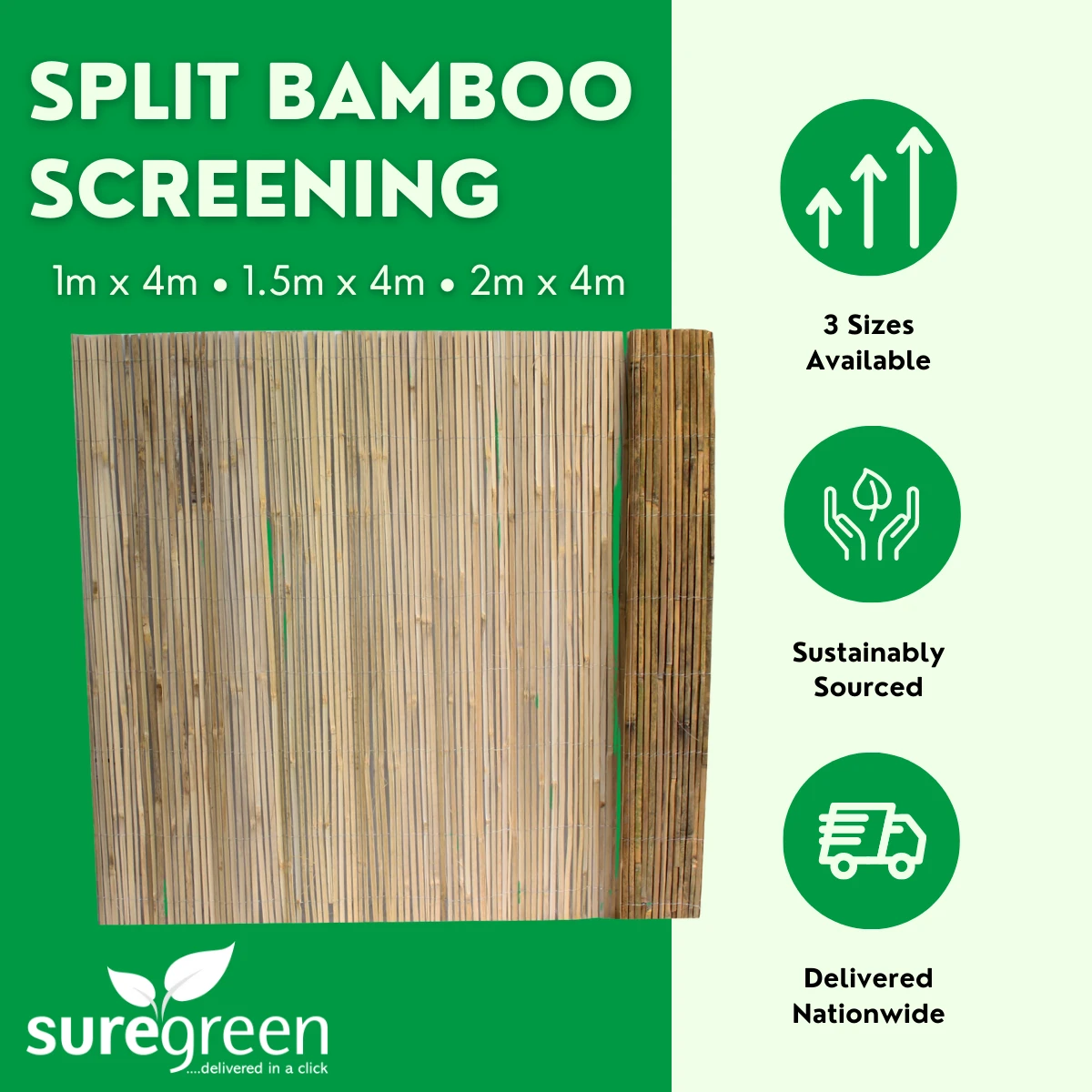 Bamboo Garden Screening - Image 2