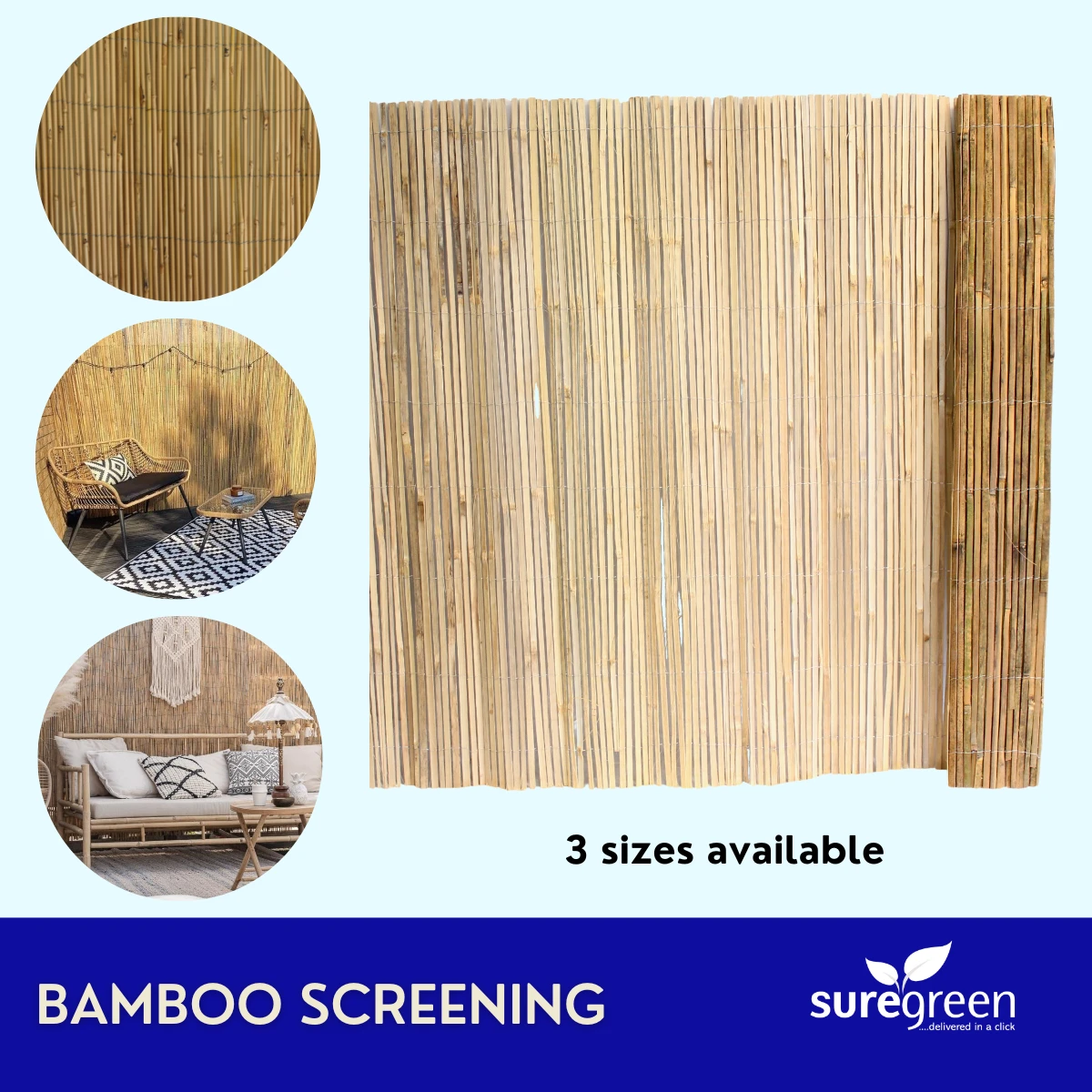Bamboo Garden Screening - Image 7
