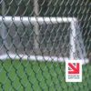 PVC-Coated Chain Link Fencing | Hampton