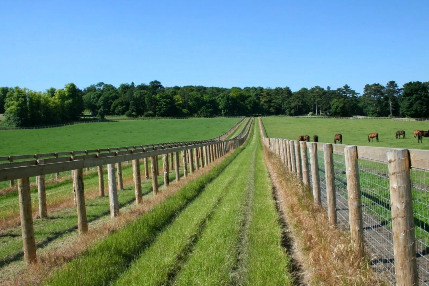 Cundy Peel Round Fence Post Strainers - Image 4