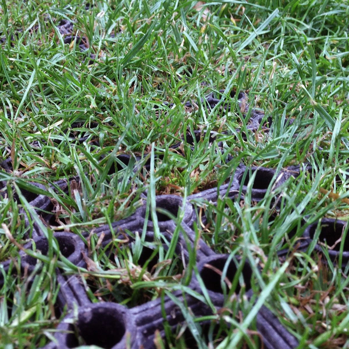 Rubber Grass Protection Mats - Image 3