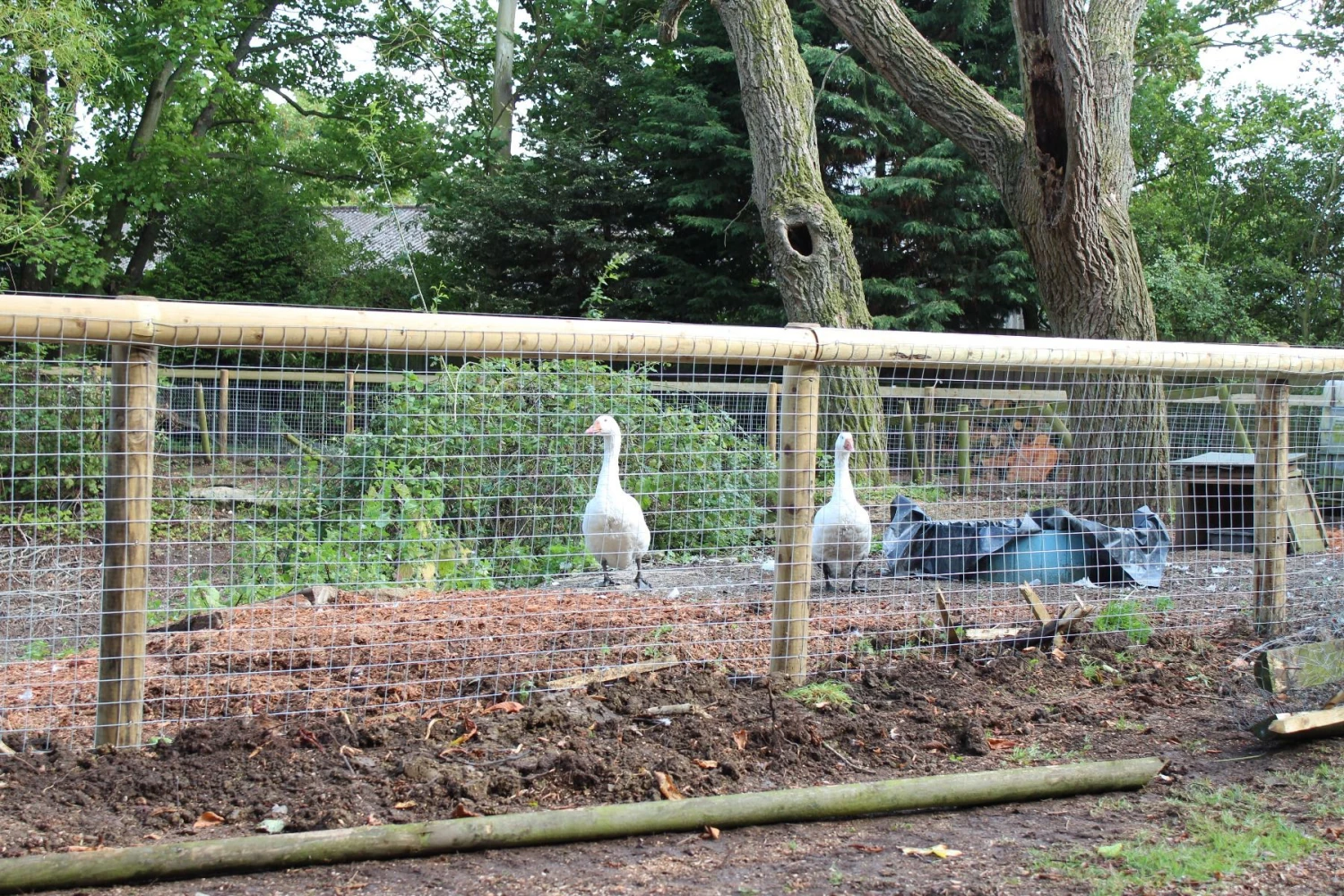 Galvanised Welded Wire Fence Mesh Rolls - Image 2