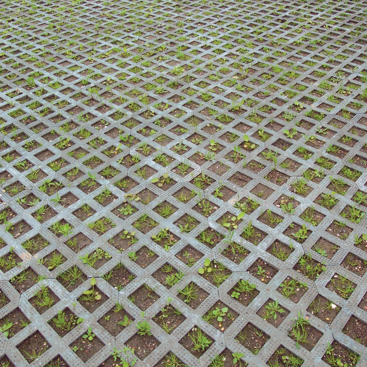 Truckgrid-Max | Heavy Duty Permeable Paver | 1 Grid - Image 4