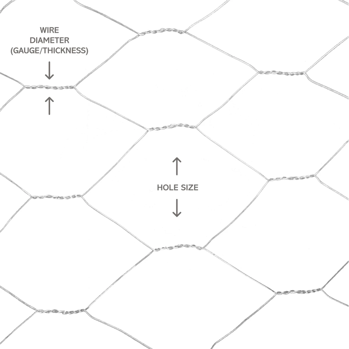 Chicken Wire | 600mm X 25m | With 25mm Holes - Image 2